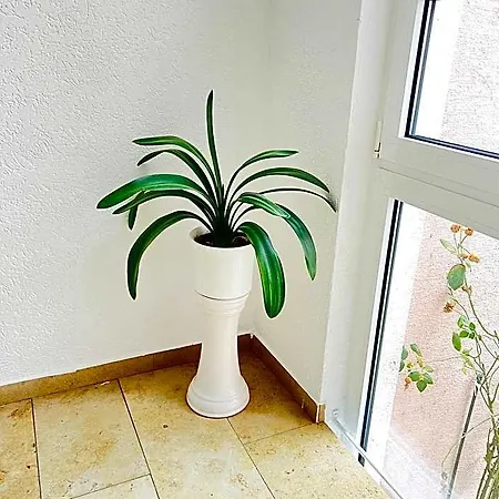 Mini-hôtel Weller